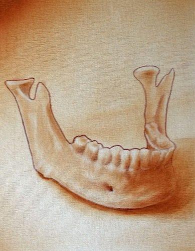 Tattoos - Mandible - 77325